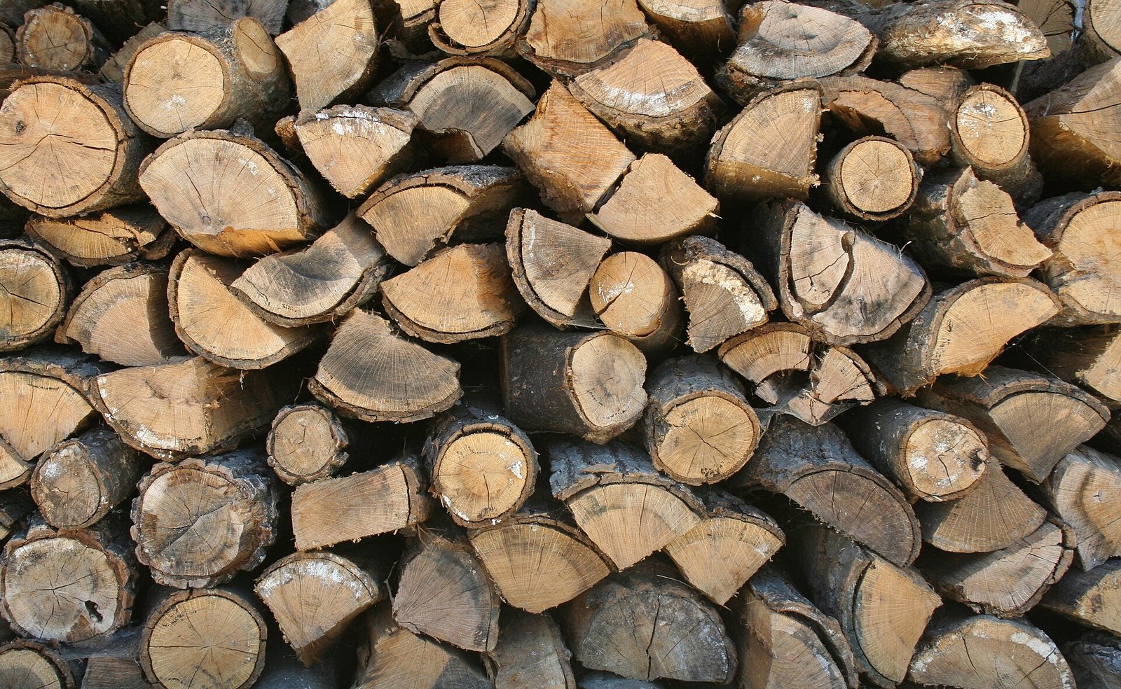 Stacked split quaking aspen firewood